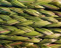 picture of braided sweetgrass